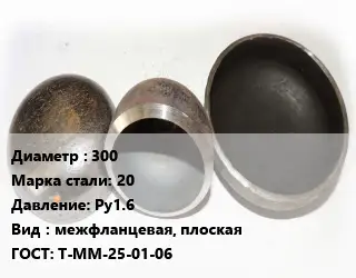 Заглушка стальная 300 Сталь: 20 Ру1.6 межфланцевая, плоская ГОСТ: Т-ММ-25-01-06